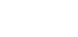 billdin logo blanco